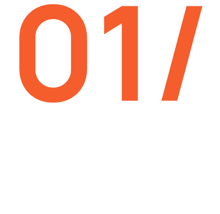 Expert Attorneys by Practice Area